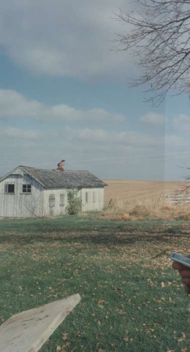 history of Iowa, Iowa History, Barns, chicken coop, Powers, Janice, Central City, IA, Iowa, Farms