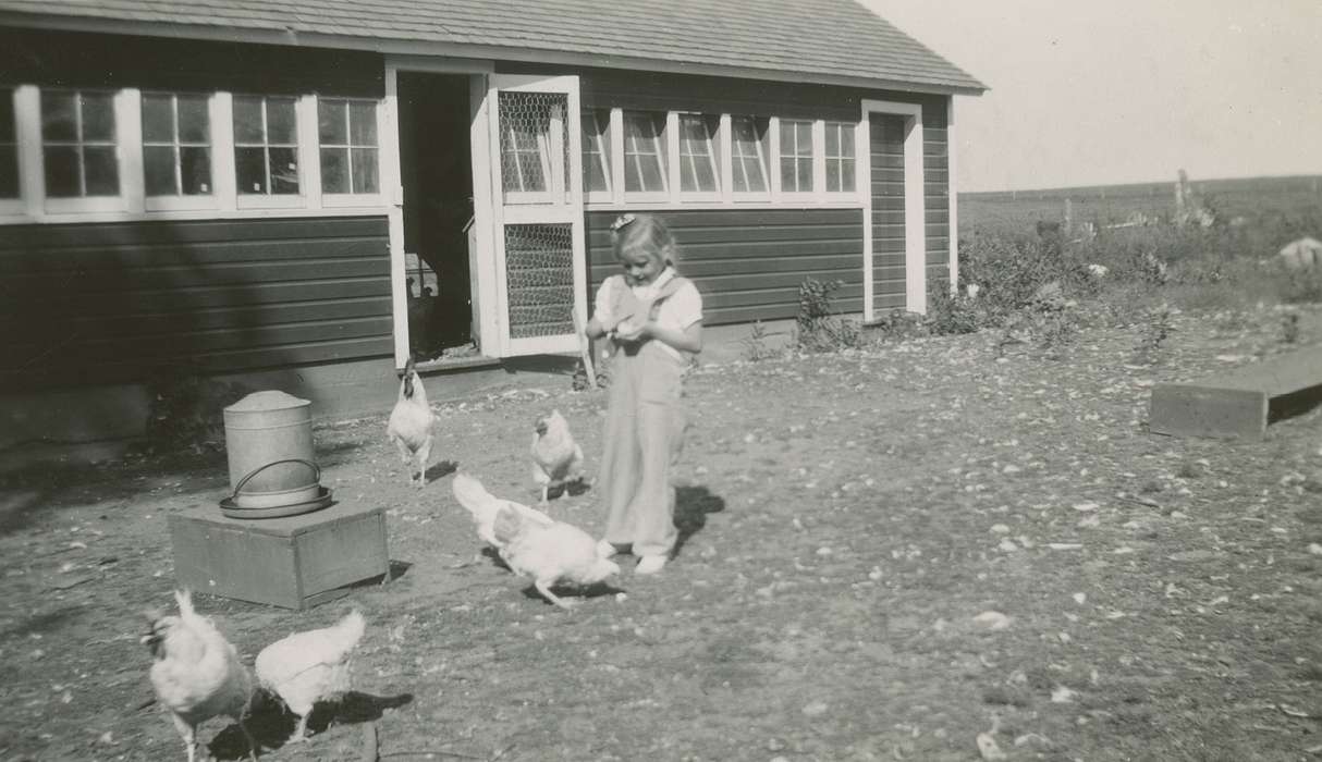 Owen, Jeff, chicken coop, Iowa, Animals, chickens, Children, Barns, history of Iowa, Farms, Monticello, IA, chicken, Iowa History