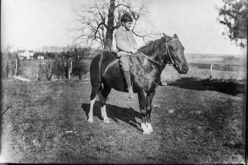 Outdoor Recreation, boy, IA, Iowa, Animals, horse, Children, Portraits - Individual, Farms, Anamosa Library & Learning Center, history of Iowa, Iowa History