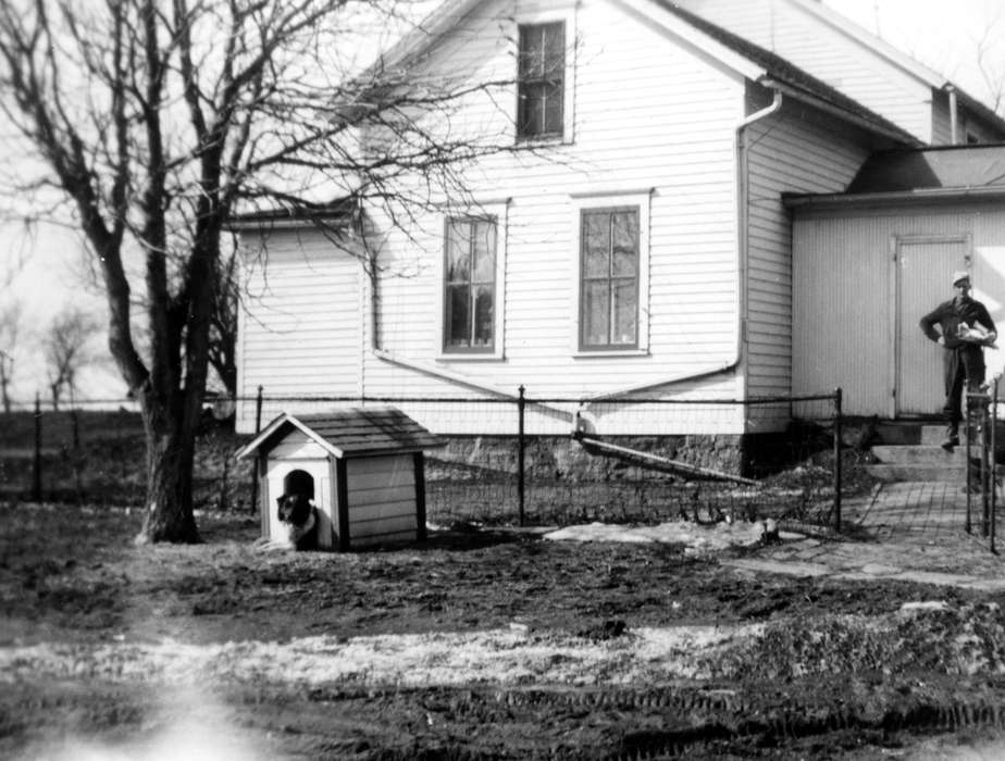 Cedar Falls, IA, history of Iowa, Iowa History, Animals, Walker, Erik, Iowa, Homes, dog, Portraits - Individual