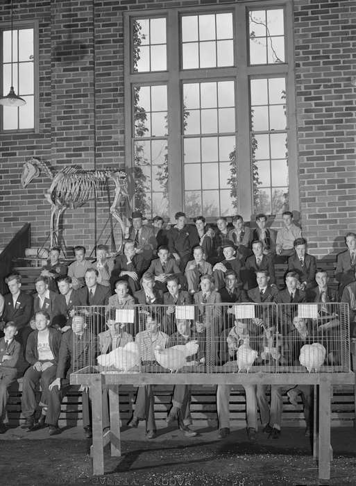 history of Iowa, chicken, Iowa History, brick, Library of Congress, window, Animals, chickens, skeleton, tie, Iowa, Cities and Towns, Schools and Education, Farms, Children, hat, suit