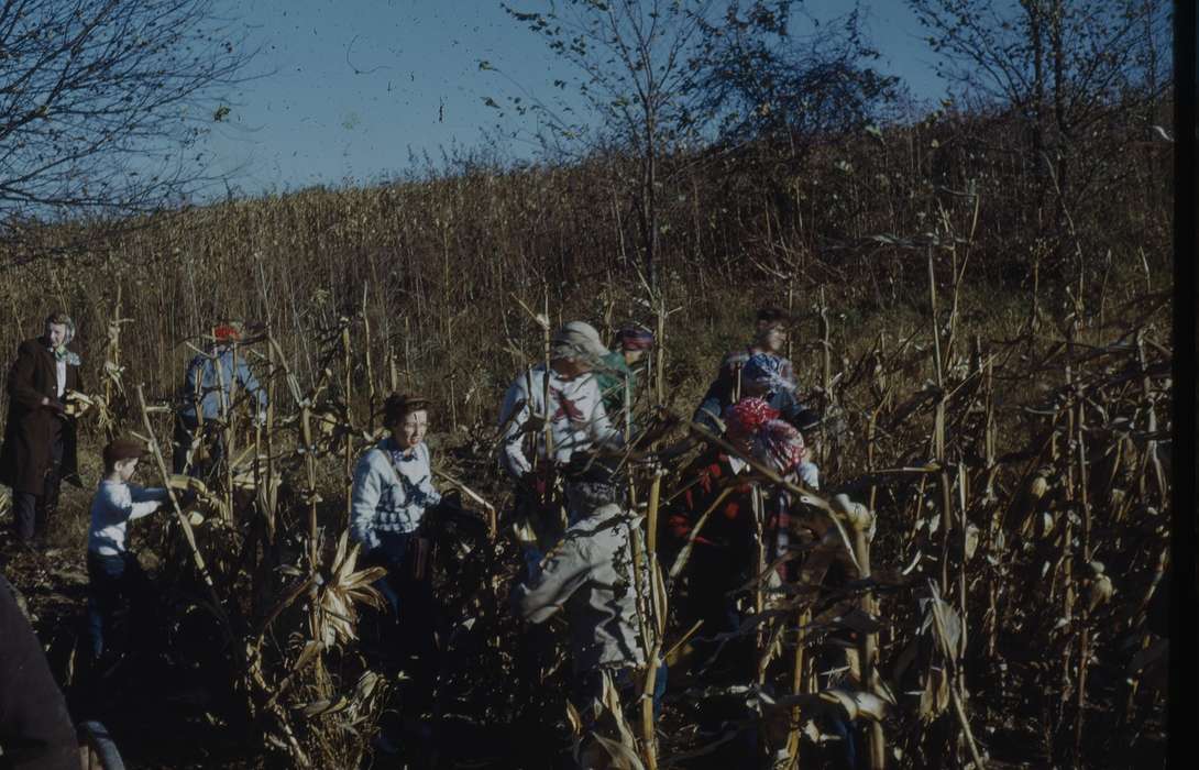 history of Iowa, Sack, Renata, IA, Iowa History, Families, corn, field, group, Iowa, Farms, people, Children