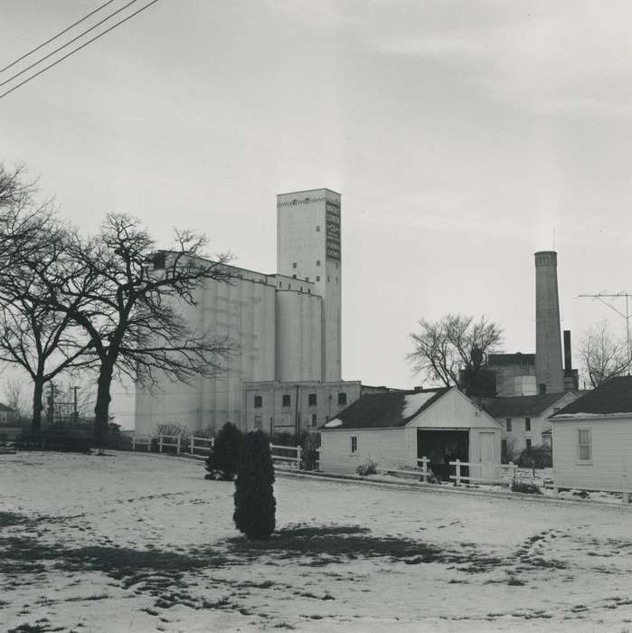grain elevator, sign, Iowa History, Waverly Public Library, fence, Iowa, history of Iowa, Businesses and Factories, correct date needed, Winter, Landscapes, Waverly, IA, snow, tree
