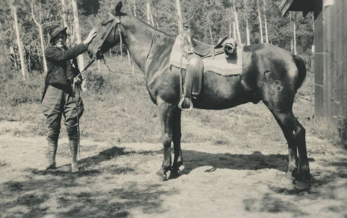 history of Iowa, Iowa History, Animals, unknown context, man, Iowa, horse, Waverly Public Library, Portraits - Individual