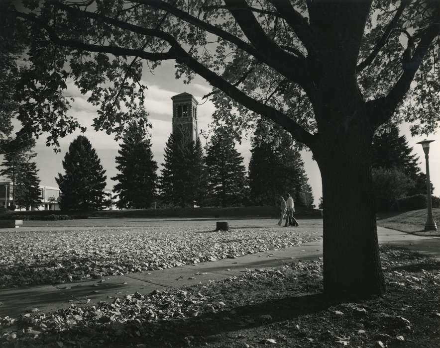 Cedar Falls, IA, history of Iowa, Iowa History, uni, UNI Special Collections & University Archives, Iowa, tree, Schools and Education, university of northern iowa, campanile