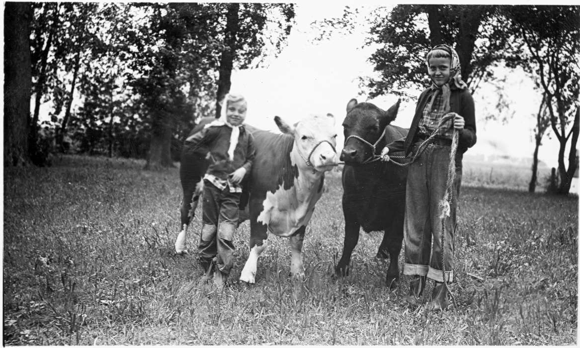Portraits - Group, rope, history of Iowa, Iowa History, cow, calf, girl, Animals, 4-h, girls, calves, Dike, IA, Iowa, Fuller, Steven, Outdoor Recreation, 4h, Children