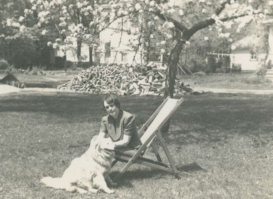 dog, Waverly Public Library, history of Iowa, Iowa History, woman, Animals, cherry tree, Iowa, tree, correct date needed, Leisure, Portraits - Individual