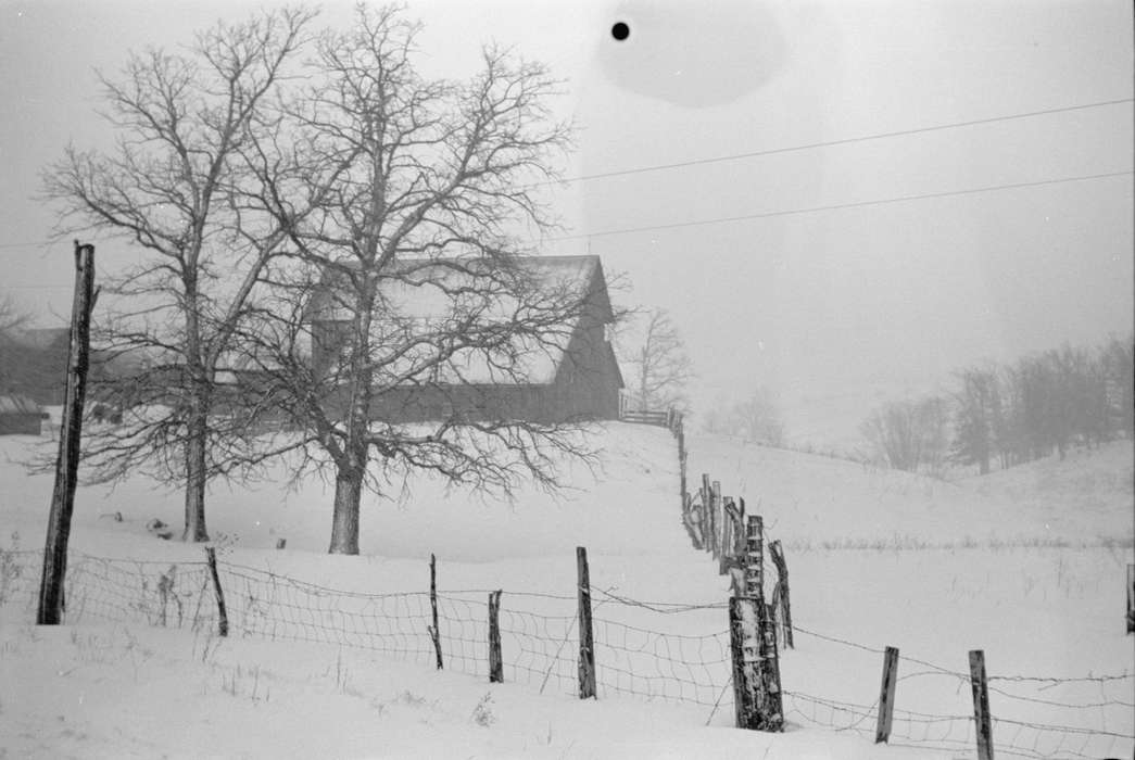 fence, history of Iowa, Iowa History, Library of Congress, Winter, barn, Barns, Iowa, Landscapes, Farms, snow, tree