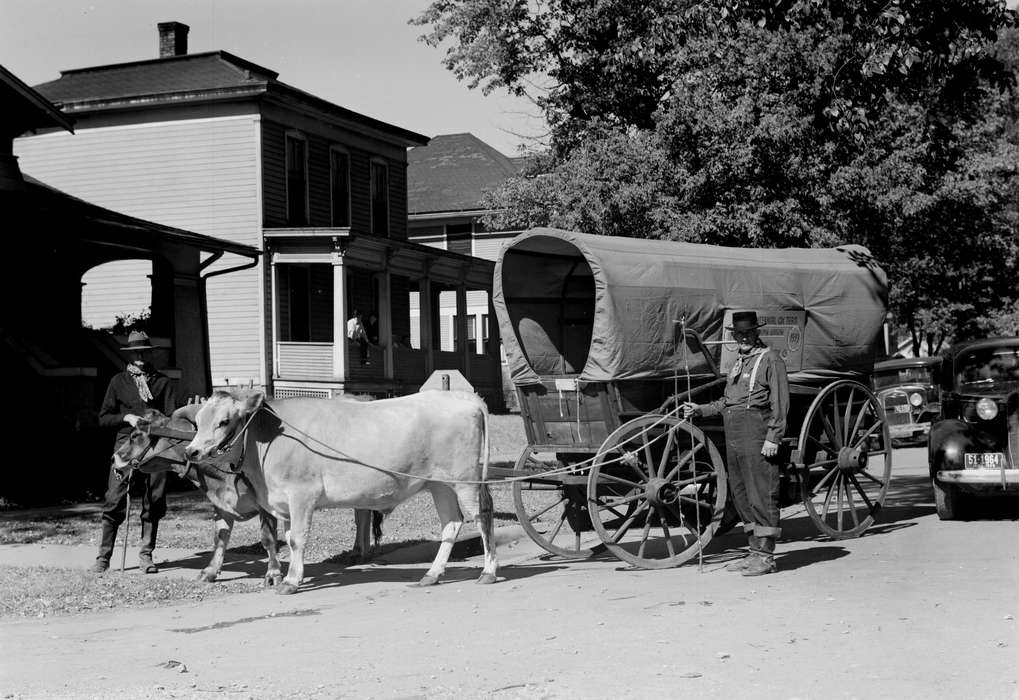 cattle, history of Iowa, Lemberger, LeAnn, porch, Motorized Vehicles, Animals, Iowa, car, Fairfield, IA, Iowa History, wagon, Leisure