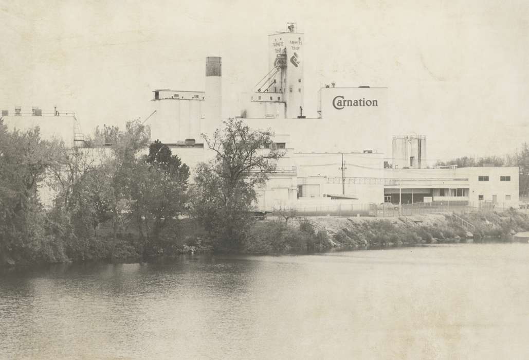 history of Iowa, factory, Businesses and Factories, Waverly, IA, tree, carnation, Iowa, river, Waverly Public Library, Iowa History, correct date needed, Lakes, Rivers, and Streams, cedar river