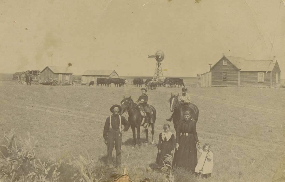 Portraits - Group, history of Iowa, Iowa History, NE, Families, Sweeney, Rebecca, cattle, Animals, windmill, Iowa, Farms, horse, Children