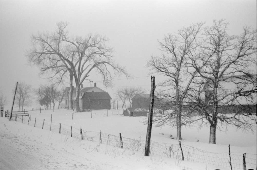 history of Iowa, Iowa History, Library of Congress, wire, Winter, Barns, homestead, Iowa, fence, snow