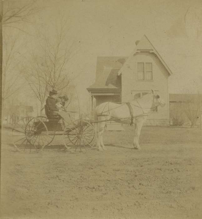 Iowa, Animals, horse, horse and buggy, Cook, Mavis, carriage, house, Charles City, IA, history of Iowa, Iowa History