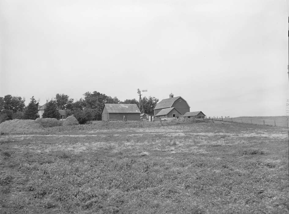 corn crib, Homes, history of Iowa, Iowa History, Library of Congress, hay mound, Barns, farmhouse, pasture, trees, sheds, windmill, Iowa, Landscapes, Farms, barnyard