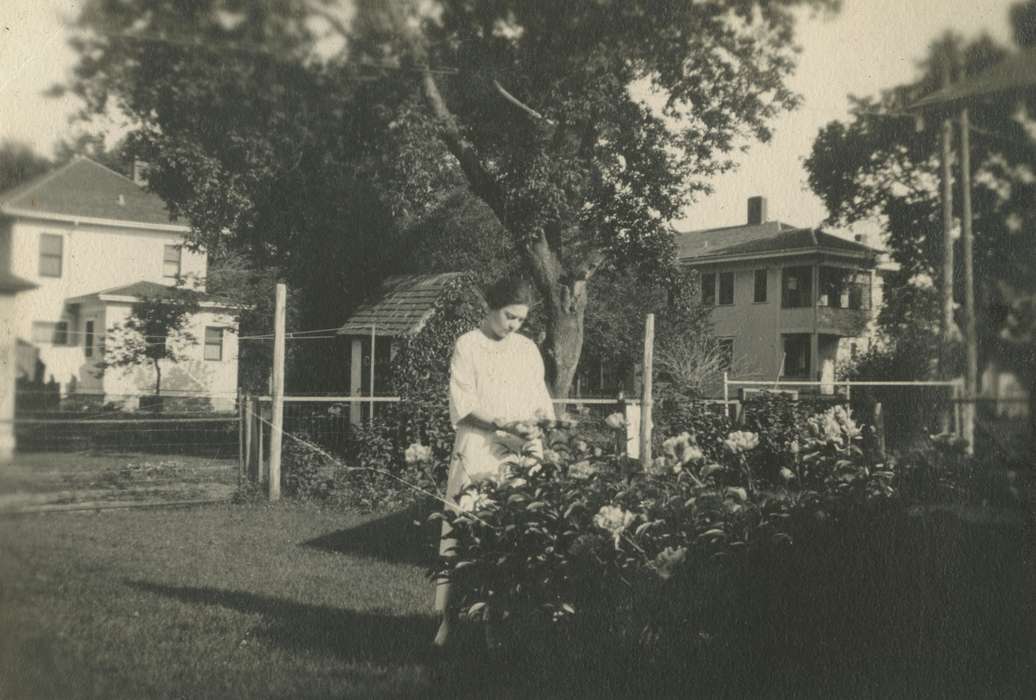 flower, Iowa, peony, Leisure, Iowa Falls, IA, Cities and Towns, garden, history of Iowa, Iowa History, Mortenson, Jill