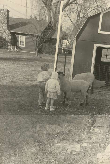 lamb, Waverly Public Library, history of Iowa, Iowa History, Barns, Animals, Waverly, IA, petting zoo, Iowa, correct date needed, city park, Children, Leisure