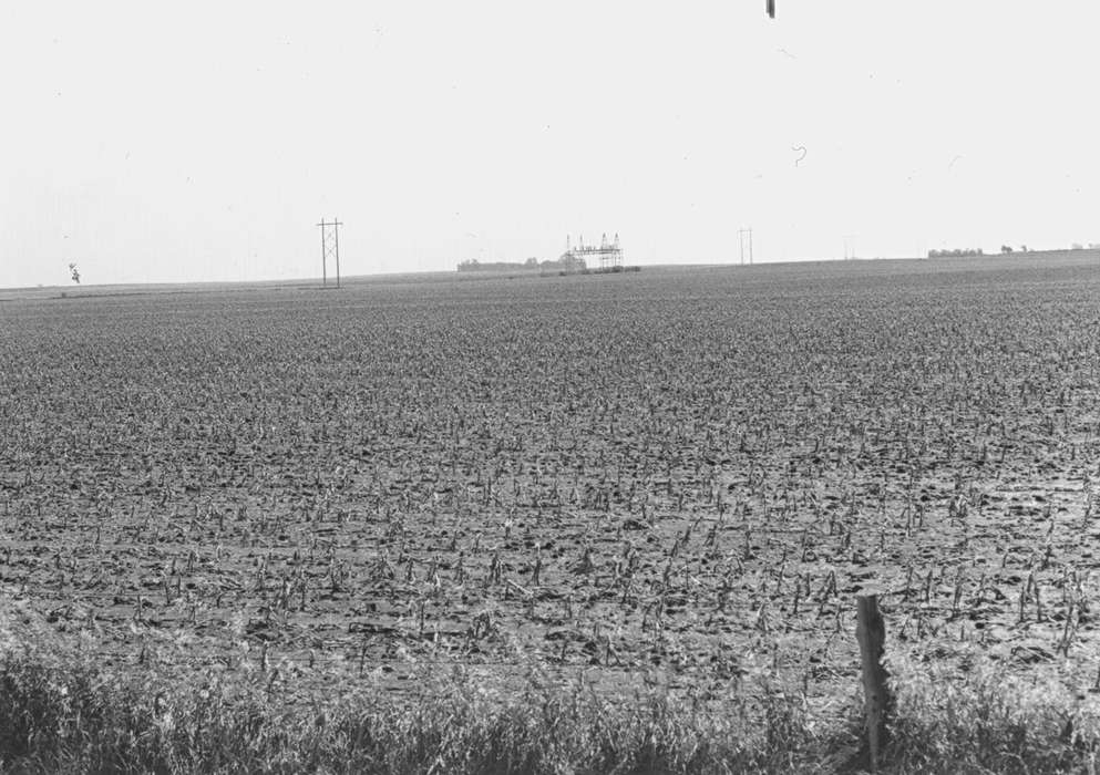 Fuller, Steven, corn, Iowa History, Iowa, field, Dike, IA, Farms, history of Iowa, Landscapes