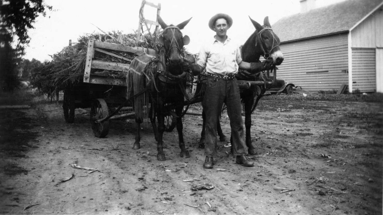 Farming Equipment, Cedar Falls, IA, harvesting, shed, Barns, Animals, car, bridle, yoke, man, dirt, hat, mule, history of Iowa, Iowa History, barn, donkey, wagon, Walker, Erik, Iowa, belt, Farms, Portraits - Individual