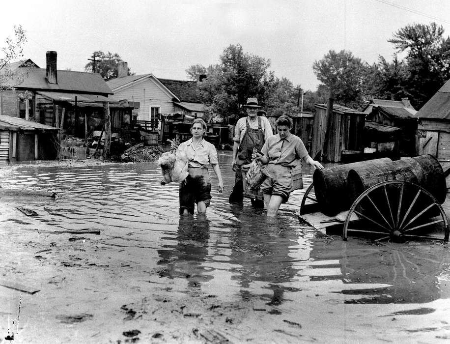 Portraits - Group, Floods, history of Iowa, chicken, wading, Ottumwa, IA, Iowa History, Animals, Iowa, Lemberger, LeAnn