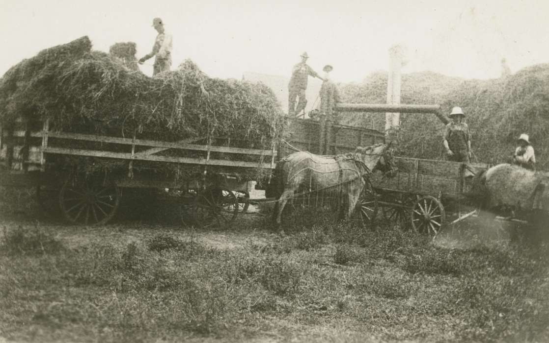 Iowa, Animals, Elbert, Jim, harvesting, Whittemore, IA, horses, Farming Equipment, Farms, history of Iowa, hay, Iowa History