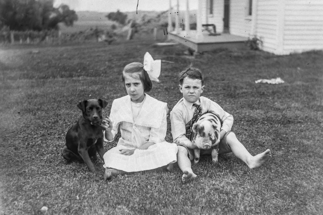 boy, IA, Iowa, Animals, pig, bow, dog, Families, Children, Anamosa Library & Learning Center, girl, history of Iowa, hog, Iowa History