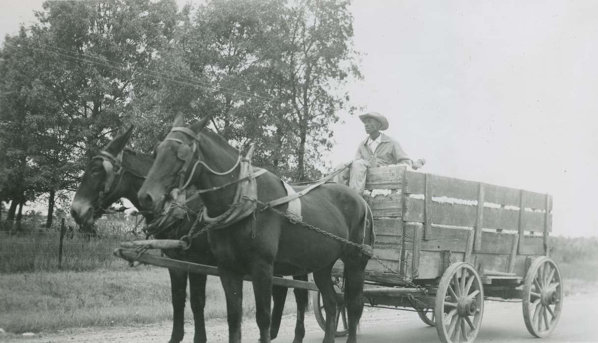 Jonesboro, LA, Travel, Iowa, Animals, horse, McMurray, Doug, african american, People of Color, cotton, Labor and Occupations, history of Iowa, Iowa History, wagon