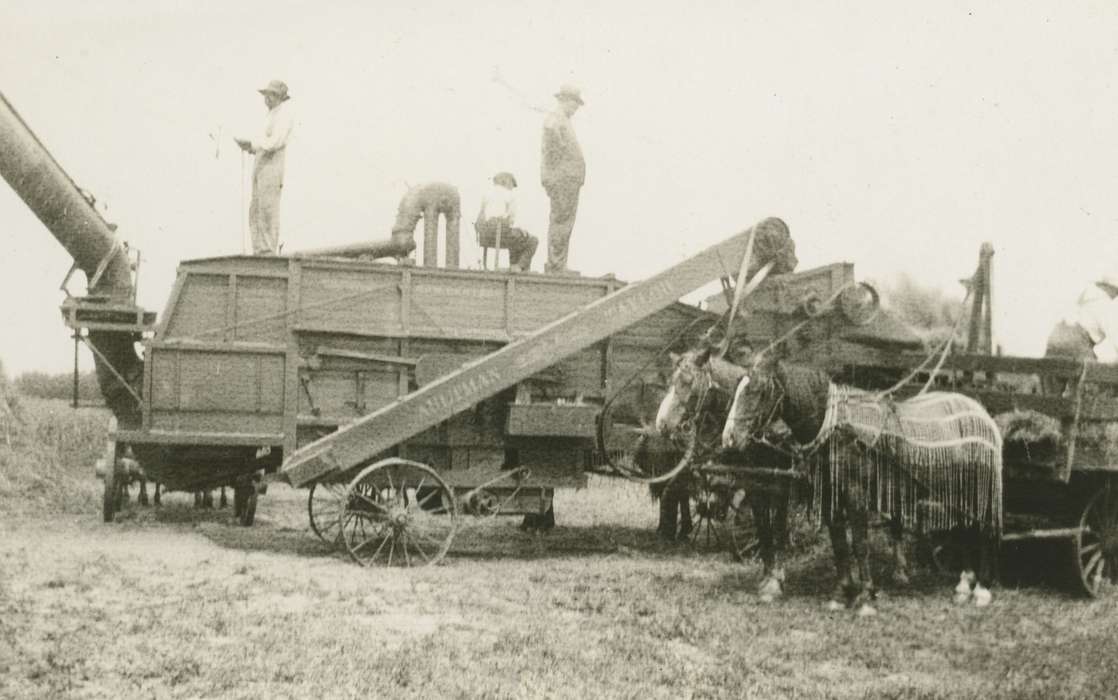 Iowa, Animals, Elbert, Jim, harvesting, Whittemore, IA, horses, Farming Equipment, Farms, history of Iowa, Iowa History