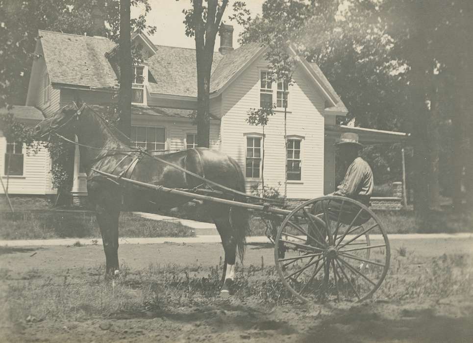 farmer, Farming Equipment, history of Iowa, Portraits - Individual, Iowa History, farm house, Animals, Farms, horse and cart, Iowa, horse drawn, Homes, correct date needed, horse, Waverly Public Library, Labor and Occupations