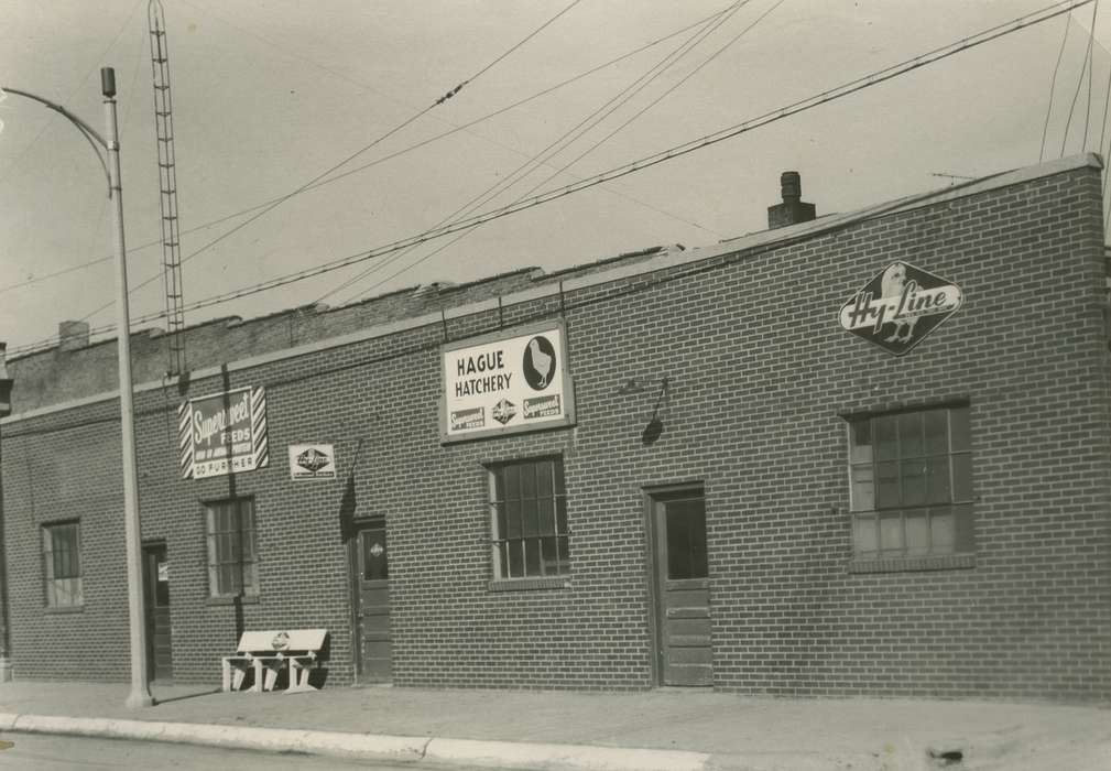 Businesses and Factories, Cities and Towns, Iowa History, Iowa, hatchery, eggs, chicken, Nixon, Charles, Coon Rapids, IA, history of Iowa