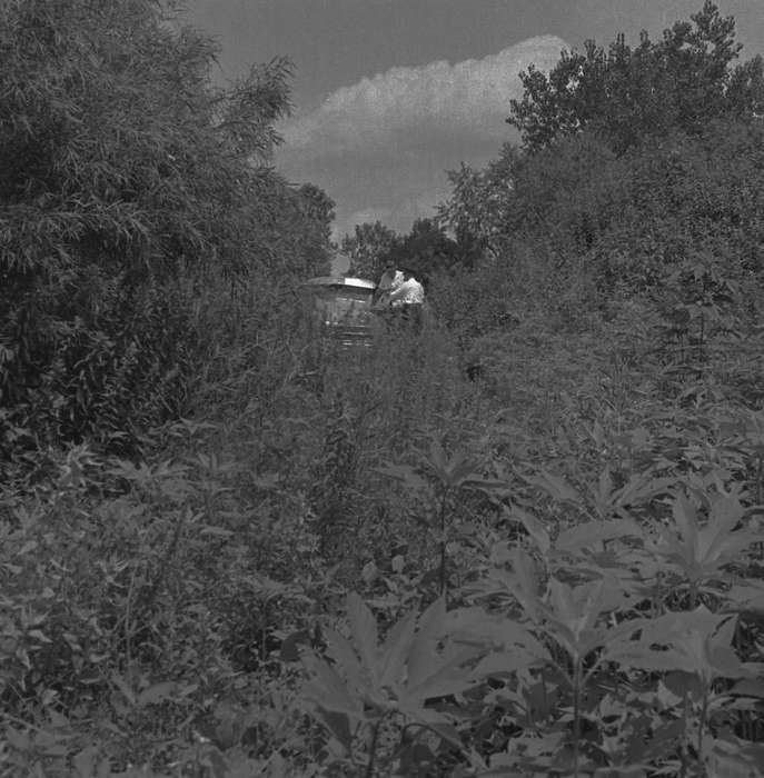 ivy, history of Iowa, Iowa History, prarie grass, Ottumwa, IA, Motorized Vehicles, plant, car, Iowa, Lemberger, LeAnn