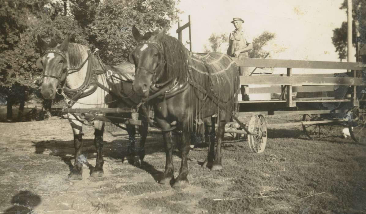 Iowa, Waterloo, IA, Animals, Lonneman, Stacey, horse, farmer, Farming Equipment, Farms, history of Iowa, Iowa History, Labor and Occupations