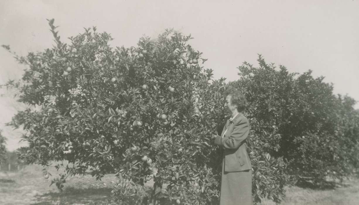 Outdoor Recreation, Iowa, Fink-Bowman, Janna, West Union, IA, history of Iowa, Portraits - Individual, tree, apple, Iowa History