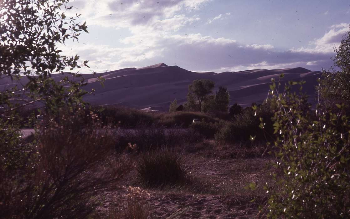 sand dunes, park, bushes, great sand dunes national park, sand, Great Sand Dunes, CO, Iowa, Iowa History, Zischke, Ward, Travel, history of Iowa, national monument, Landscapes, national park