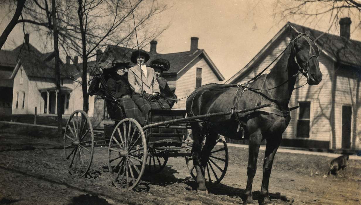 Portraits - Group, horse and buggy, Animals, Cities and Towns, Iowa History, Iowa, Anamosa Library & Learning Center, Anamosa, IA, road, horse, history of Iowa