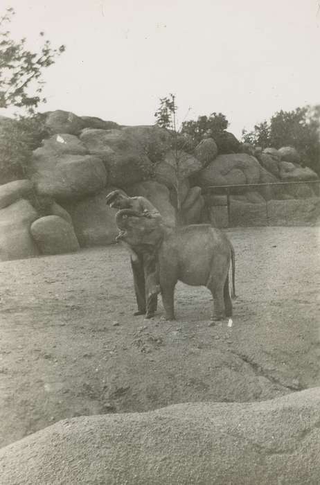 Campopiano Von Klimo, Melinda, Iowa History, St. Louis, MO, Iowa, history of Iowa, Animals, zoo, elephant, Labor and Occupations