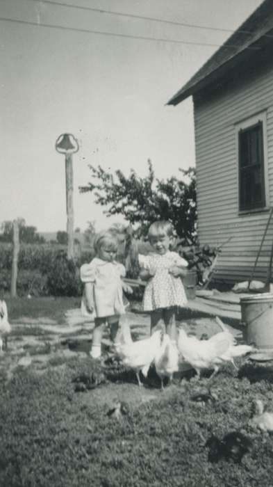 bird, bell, chicken, Iowa History, kids, Children, Iowa, history of Iowa, Animals, Homes, chickens, USA, Spilman, Jessie Cudworth