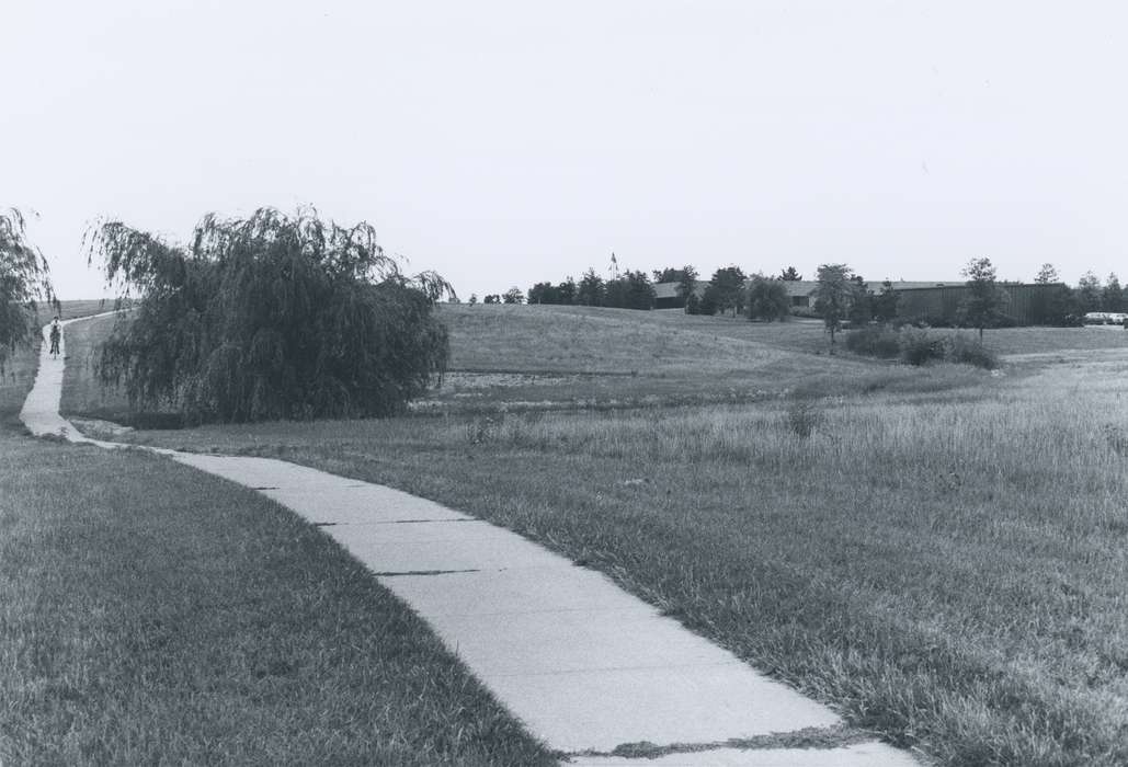 history of Iowa, Iowa History, field, path, Waverly, IA, Iowa, Landscapes, Waverly Public Library