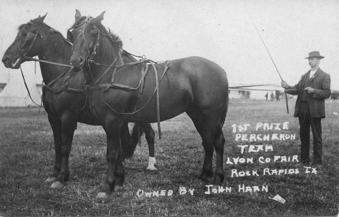 IA, Iowa, Animals, hat, Mary, Buell, history of Iowa, horses, Farming Equipment, Farms, percheron, harness, Iowa History