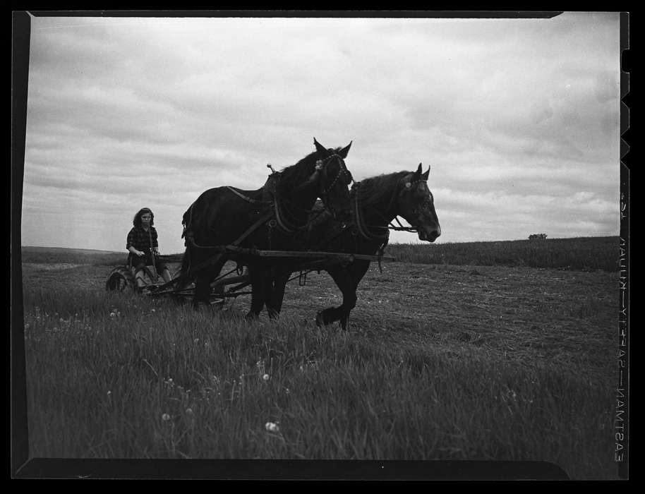 history of Iowa, Storrs, CT, Iowa History, Archives & Special Collections, University of Connecticut Library, Iowa
