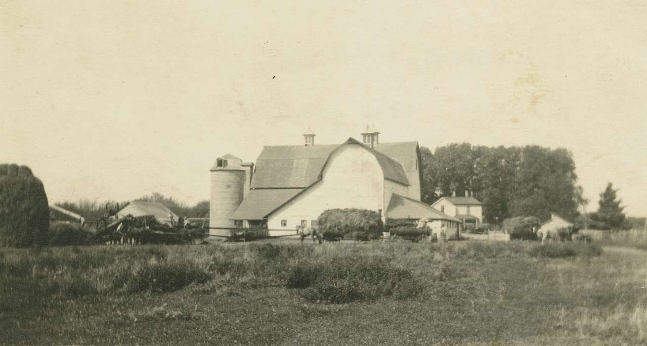 Iowa, Animals, horse, Barns, Homes, field, West Liberty, IA, Farming Equipment, Farms, history of Iowa, hay, Meyers, Peggy, Iowa History, silo