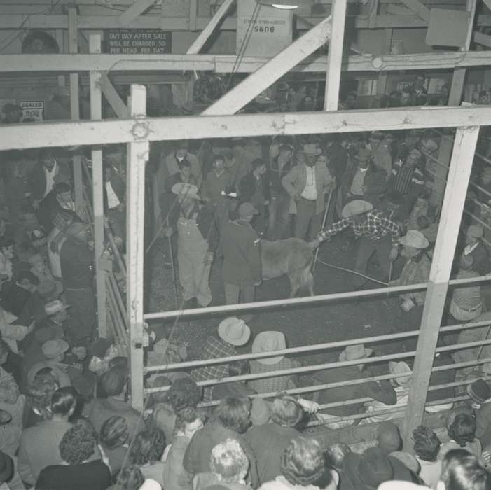 history of Iowa, Businesses and Factories, Waverly, IA, overalls, Waverly Public Library, Iowa, cowboy hat, crowd, Iowa History, donkey, correct date needed, baseball cap, Animals