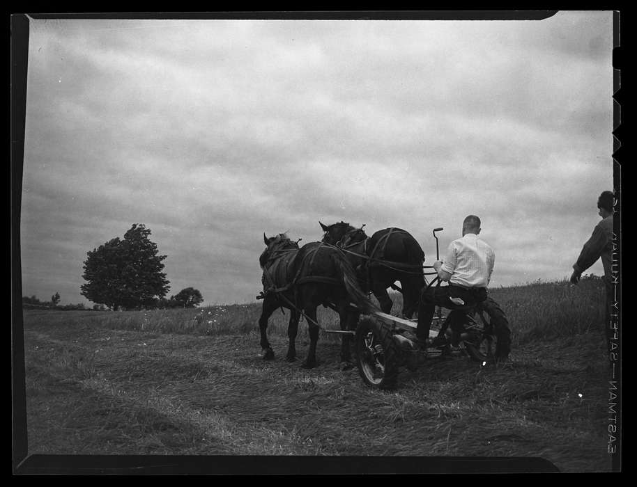 history of Iowa, Storrs, CT, Iowa History, Archives & Special Collections, University of Connecticut Library, Iowa