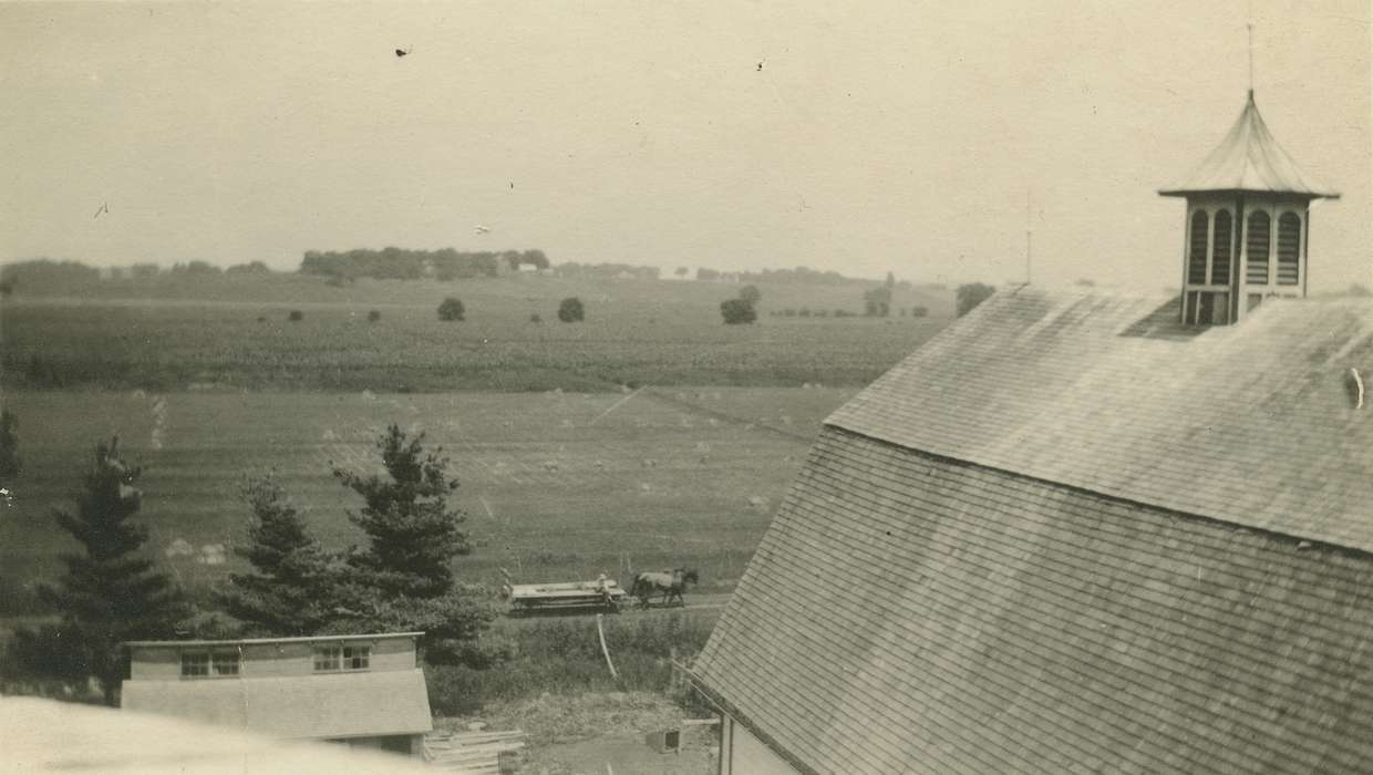 West Liberty, IA, history of Iowa, Farms, Barns, Meyers, Peggy, Animals, horse and cart, Iowa, field, Iowa History, Farming Equipment