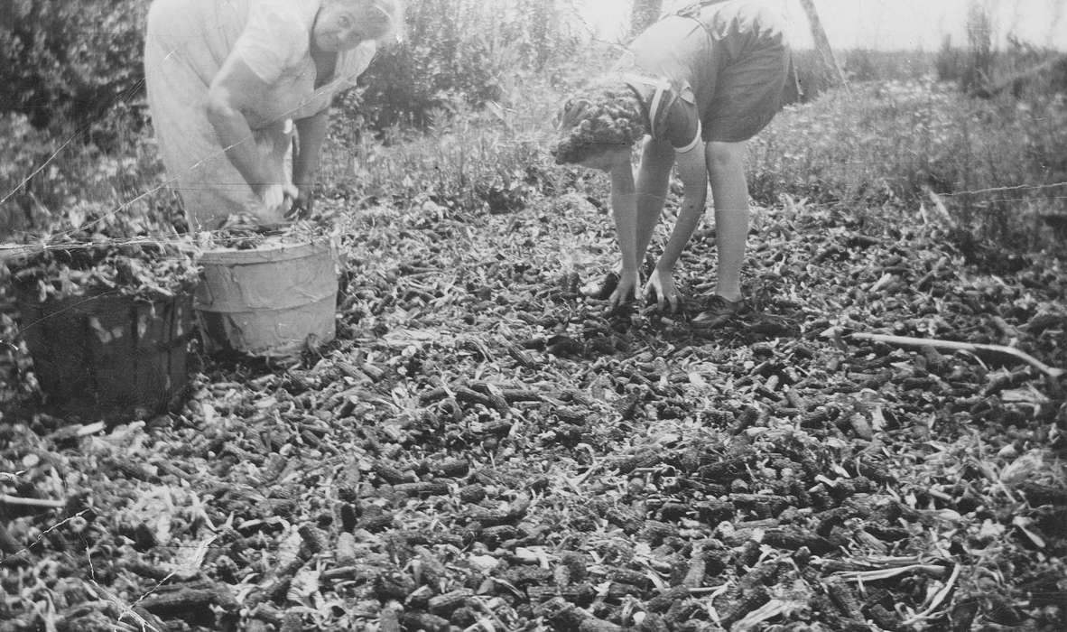 Portraits - Group, work, Iowa, USA, shucking, Farms, women, Labor and Occupations, corn, corncob, history of Iowa, Spilman, Jessie Cudworth, Iowa History