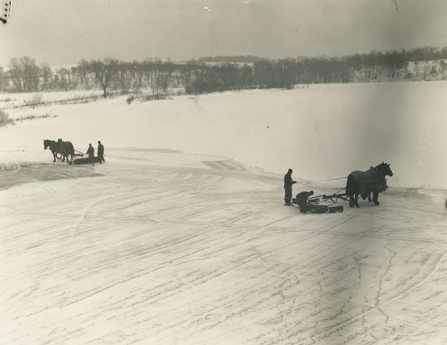 worker, history of Iowa, Iowa History, Winter, Animals, Waverly, IA, Iowa, correct date needed, horse, Waverly Public Library, Labor and Occupations