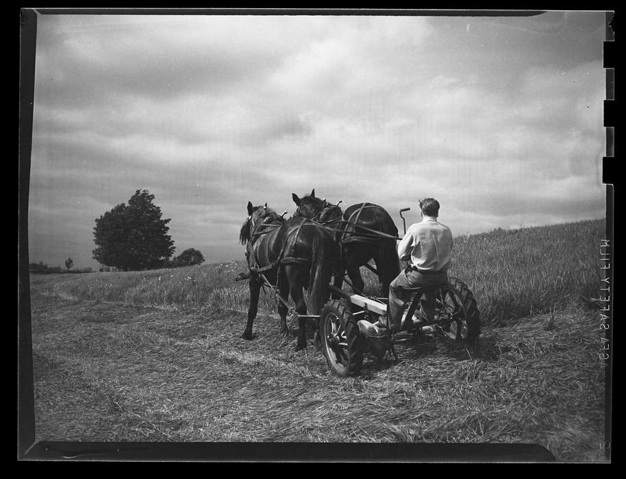 history of Iowa, Storrs, CT, Iowa History, Archives & Special Collections, University of Connecticut Library, Iowa