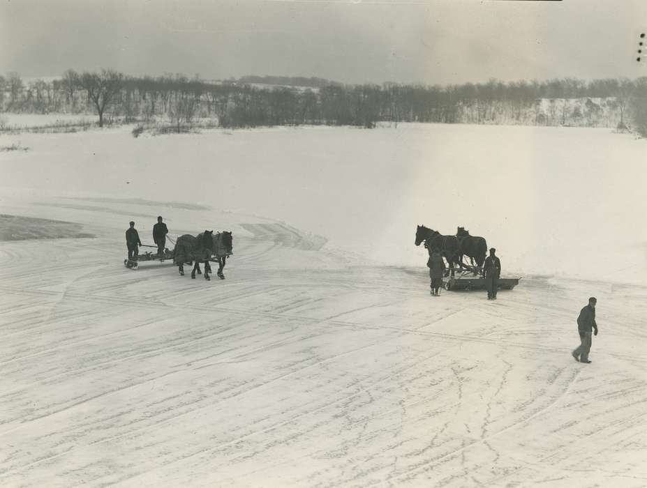 history of Iowa, Iowa History, Animals, Waverly, IA, Iowa, correct date needed, snow, horse, Waverly Public Library, ice, Labor and Occupations