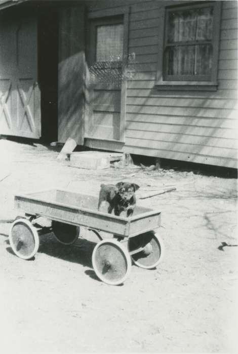 history of Iowa, Iowa History, Mortenson, Jill, Animals, wagon, Eldora, IA, Iowa, Homes, dog