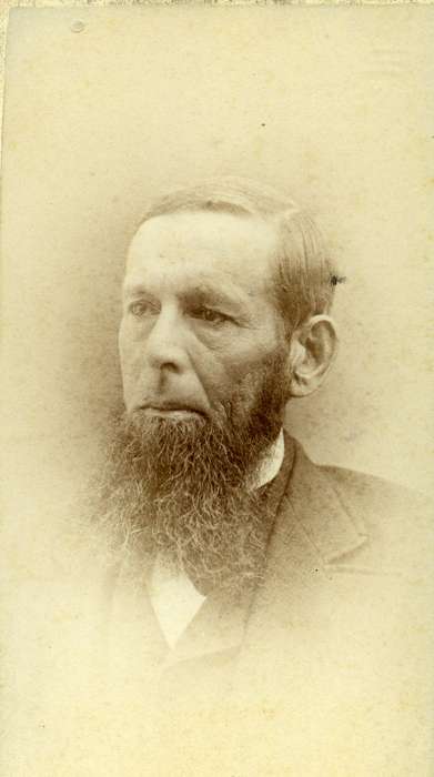 history of Iowa, Iowa History, beard, man, Washington, IA, Iowa, Olsson, Ann and Jons, carte de visite, Portraits - Individual
