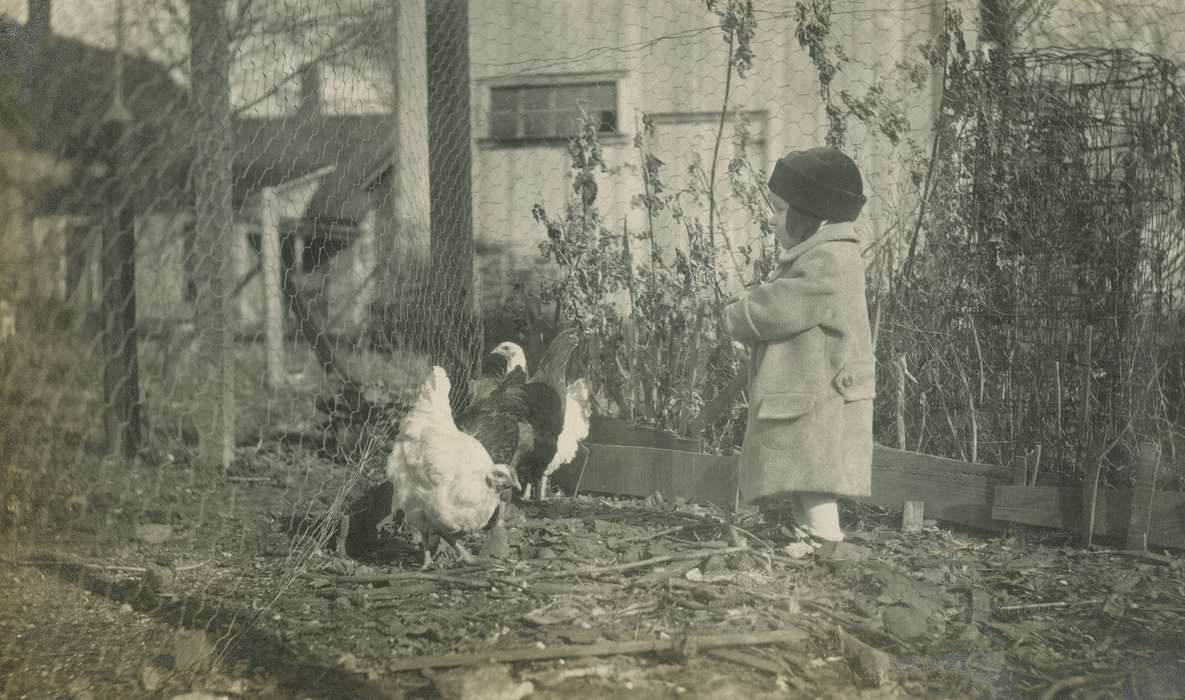 Animals, Iowa History, Iowa, McMurray, Doug, chickens, Webster City, IA, Children, history of Iowa